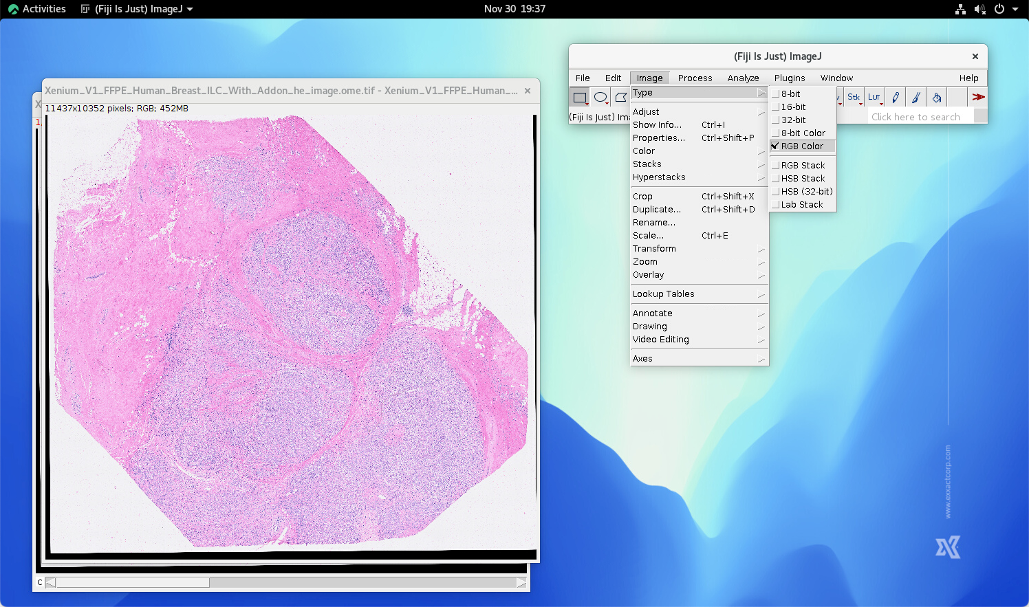 _images/fiji-image-type-rgb-color.png